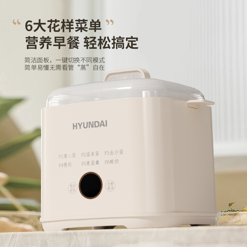 现代(HYUNDAI) NE-250A 液体 加热器(煮蛋器) 蒸碗容量:300mL(单位:个)高清大图