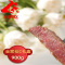 厨易到家有肉吃 全家福礼盒C 牛排900g (早餐、厨易二选一)