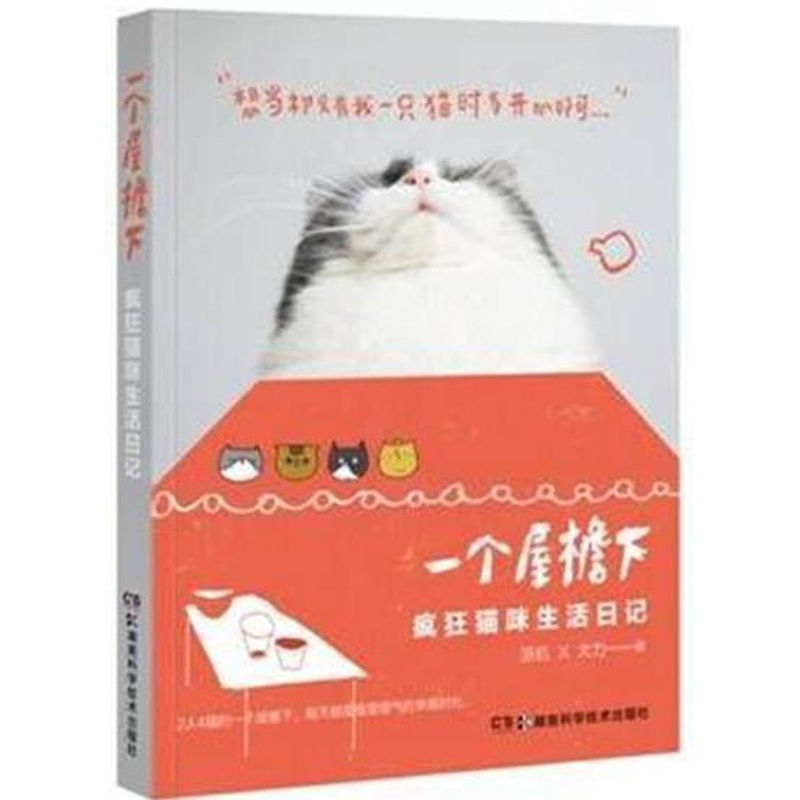 [正版]一个屋檐下:疯狂猫咪生活日记 派机 随笔作品集中国当代 生活休闲书籍