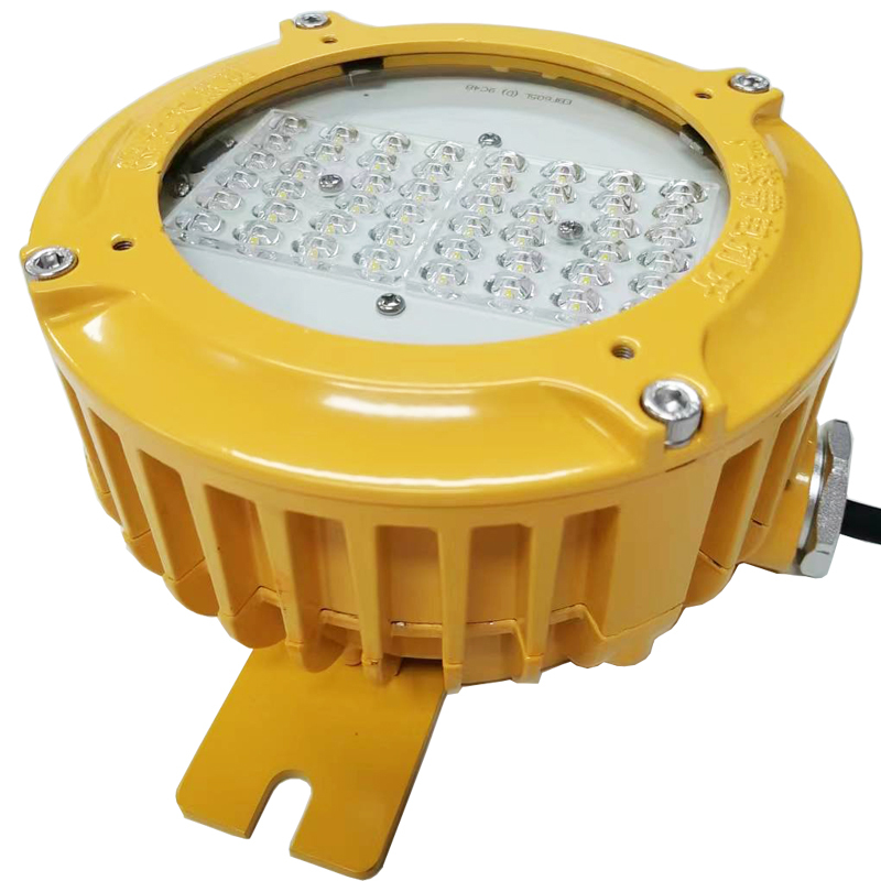 光大 EBF605L(D) LED AC220V 24W IP66 WF2 5700K ExdIICT6 抗震防爆平台灯