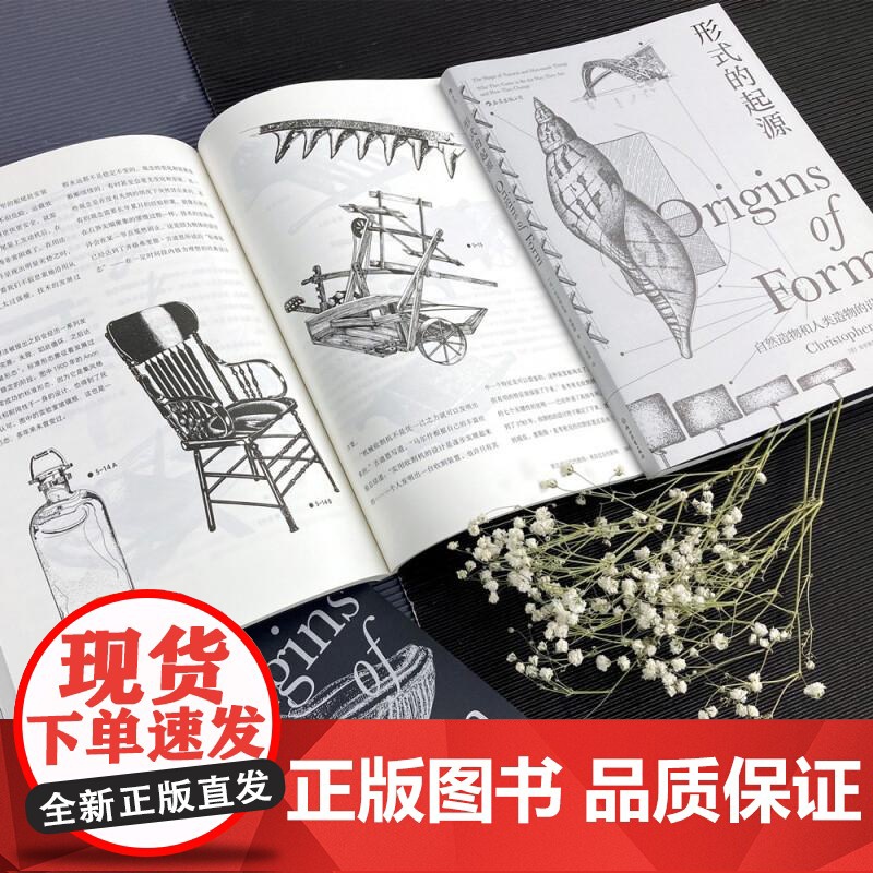 形式的起源 克里斯托弗威廉斯浙江教育出版社高清大图