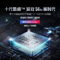 ROG玩家国度枪神4 Plus十代英特尔酷睿i7 RTX2070/32G内存/1T固态 17.3英寸300Hz手提电竞游戏本笔记本电脑败家之眼玩家国度
