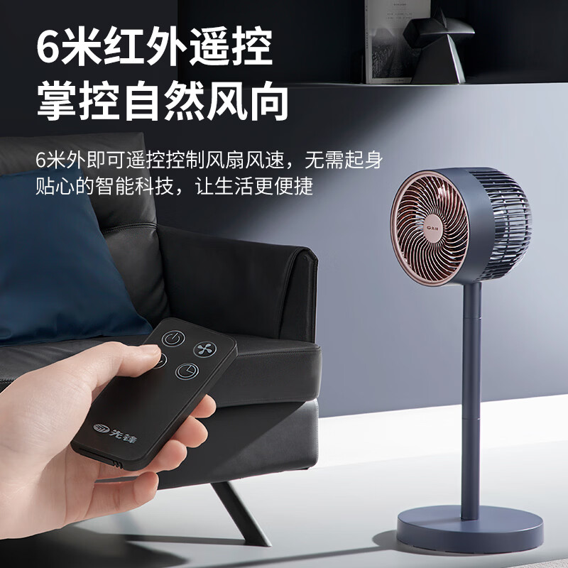 先锋直流空气循环扇 DXH-S16R(黑色)高清大图