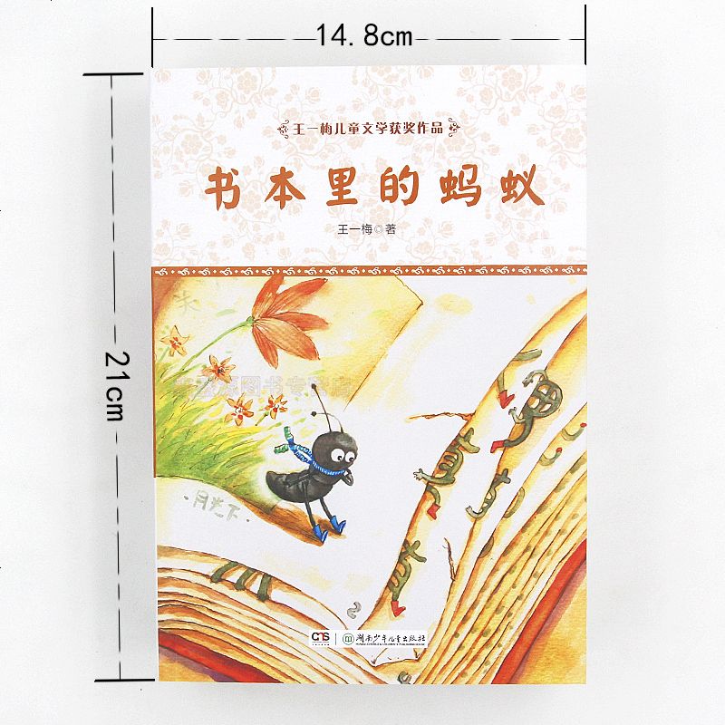 正版全四册 王一梅儿童文学获奖作品蔷薇别墅的老鼠抽屉里的小纸人第十二只枯叶蝶书本里的蚂蚁中小学生课外文学阅读校园故事
