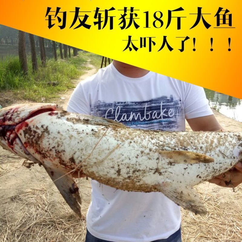 龙纹鲤鱼竿台钓竿长节手竿3.9 4.8超轻超硬28调鲤鱼竿大鱼竿套装