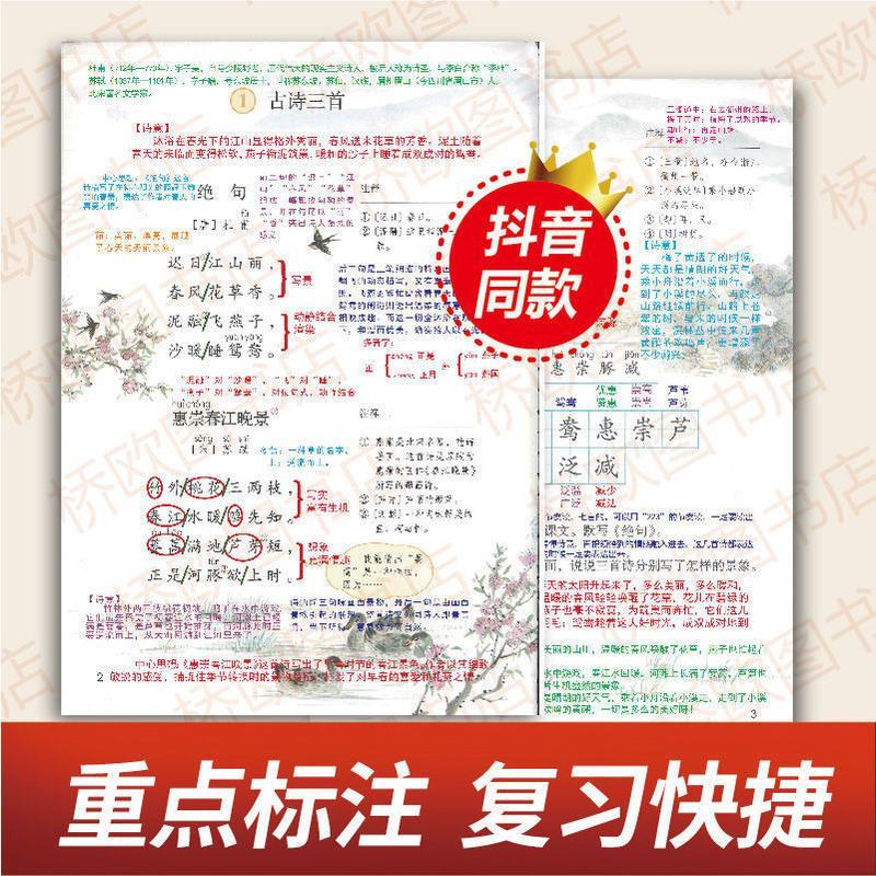 2021新版3三年级下册 语文课堂笔记 知识大全部编人教版八色彩印 3年级下册