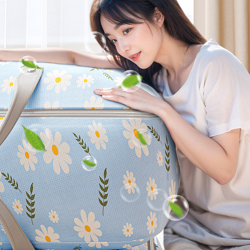 佳帮手收纳袋四季通用防潮防尘JBS-MBD-PNJ03(颜色随机)高清大图