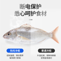 SAST 冷柜商用家用单温小冰柜卧式双门双温柜顶开门冷藏冷冻转换柜母乳冰箱BCD-142