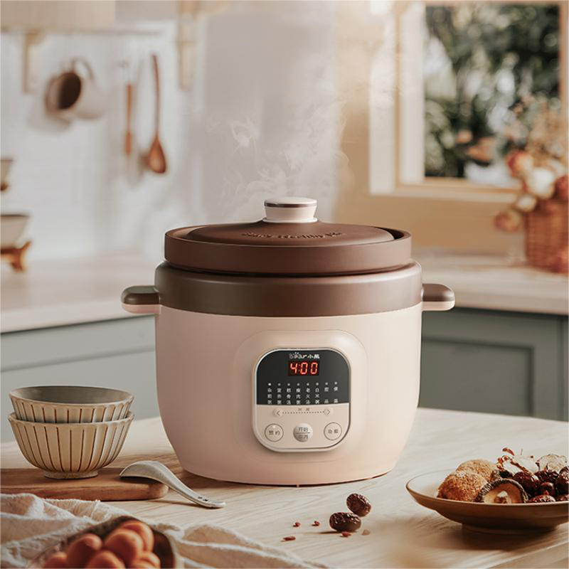 小熊(Bear)电炖锅 煲汤锅 紫砂锅 煮粥锅煲粥熬粥养生神器 可预约定时 DDG-D50N1 5升 紫砂 / 台