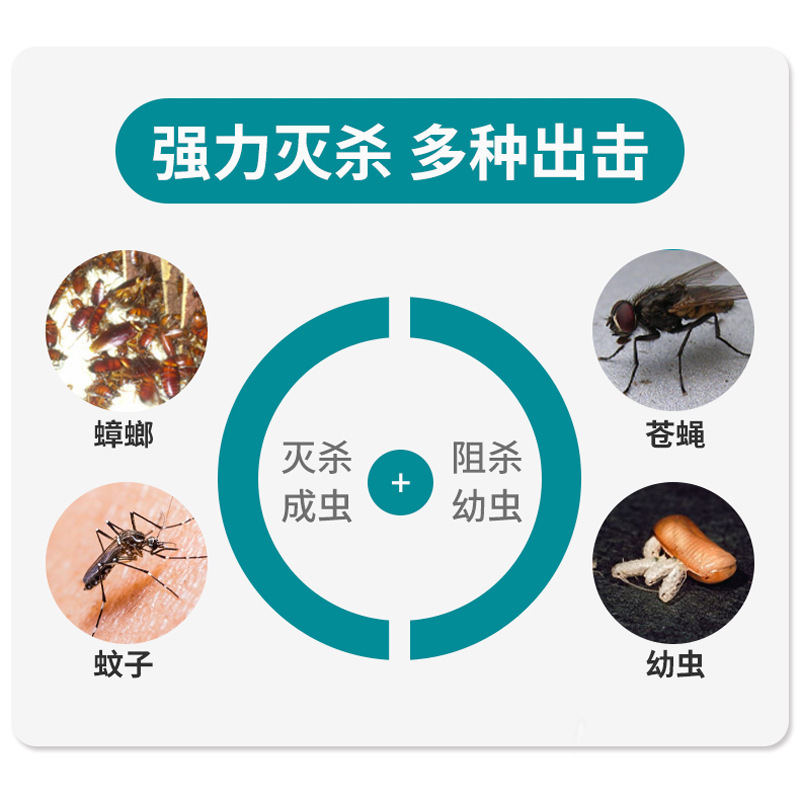 蜘蛛杀虫剂烟剂蜘蛛杀手室内去除蜘蛛大小蜘蛛通灭专用药烟雾烟熏