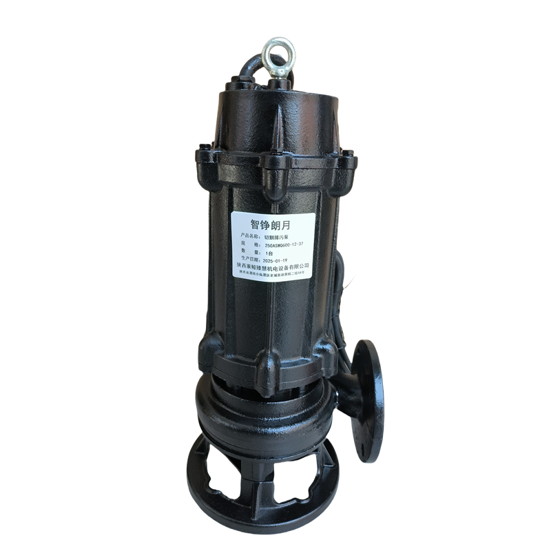 智铮朗月 切割排污泵 250ASWQ600-12-37 台高清大图