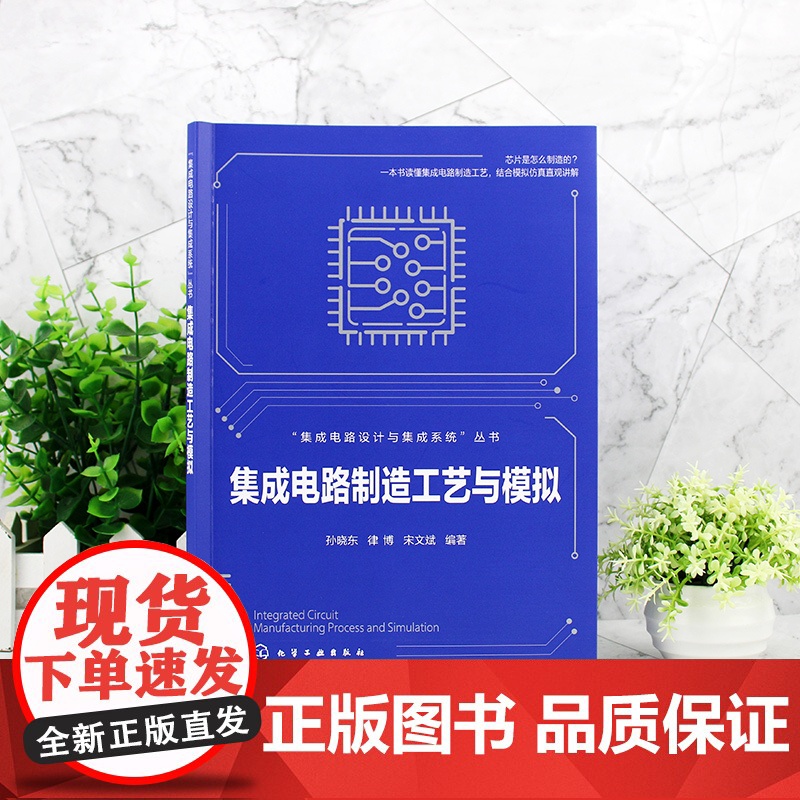 集成电路制造工艺与模拟 集成电路设计与集成系统丛书 芯片制造集成电路半导体微电子 集成电路教材 一本书读懂集成电路制造高清大图
