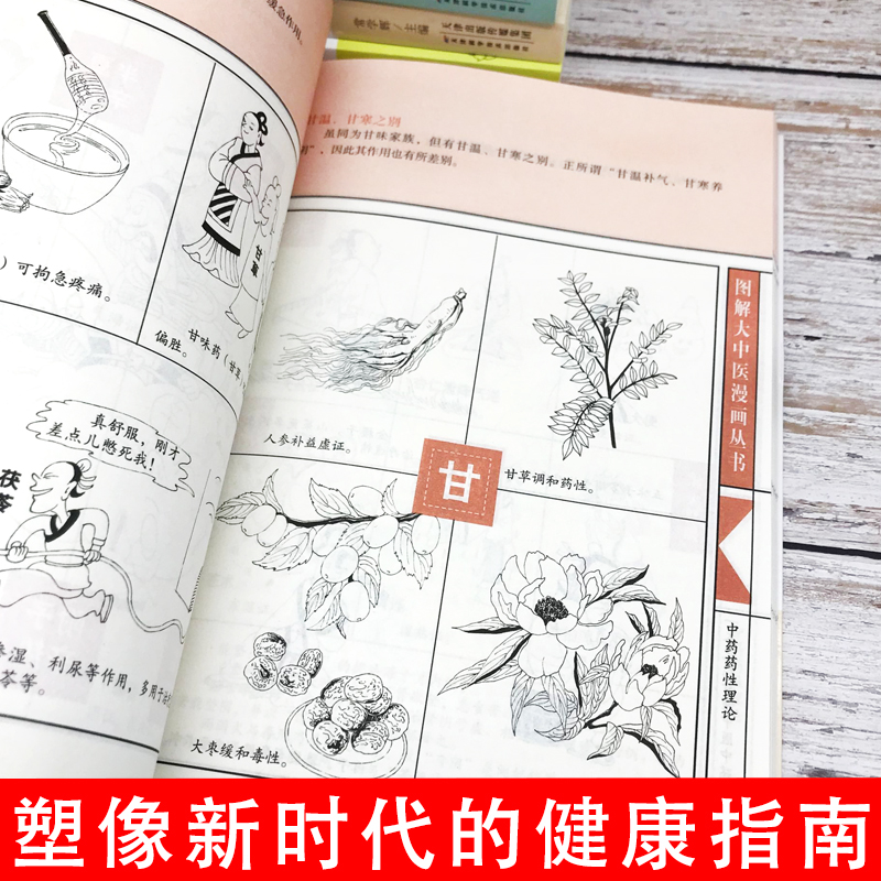 [醉染正版]正版7册一本就能看懂中医基础+经络+养生+方剂+体质+中药+藏象从头到脚讲健康黄帝内经四季养生法做自己的中医高清大图