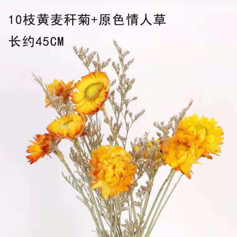 云南直发大束满天星干花花束批发真花鲜花客厅装饰摆件生日礼物女 10支雏菊送情人草 半斤鲜花(发半干)再送一束配草