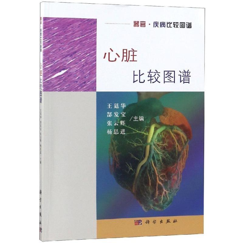 [M]心脏比较图谱-9787030593887高清大图