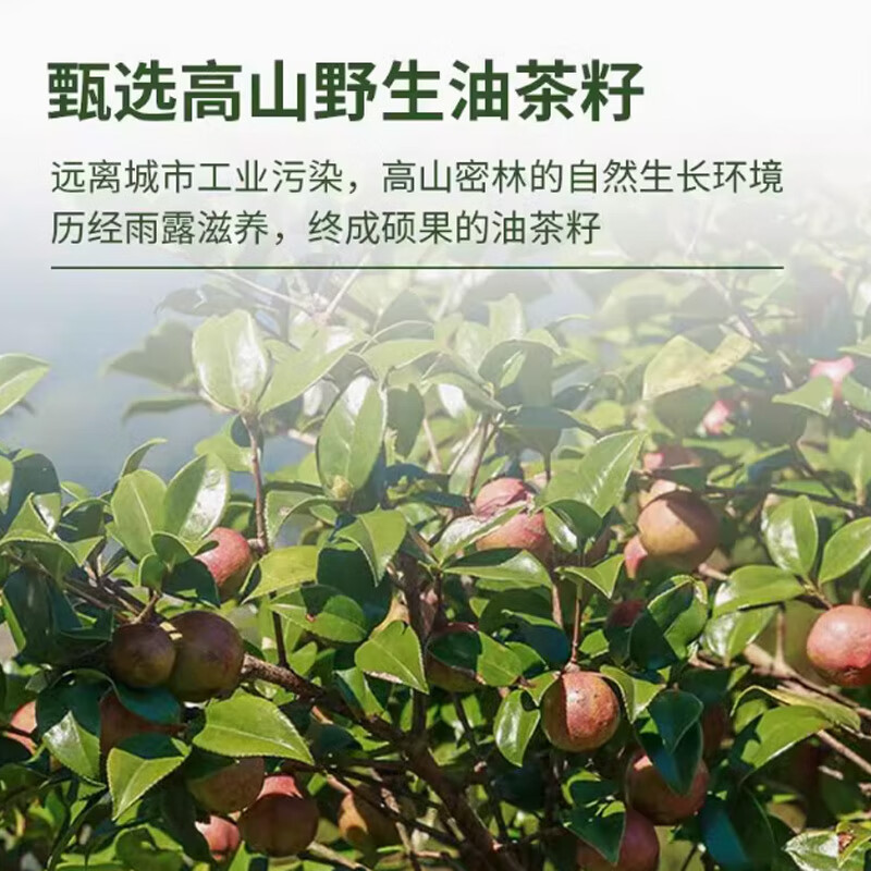 特诺娜 新油炒菜食用油 山茶油1L*2瓶装+初榨橄榄油250ML双瓶礼袋高清大图