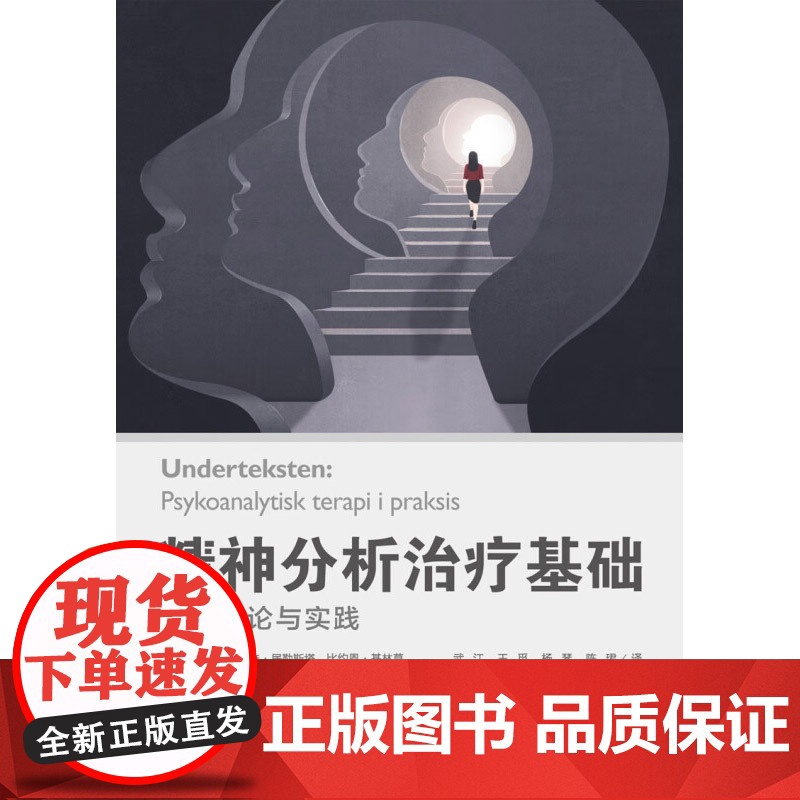 万千心理 精神分析治疗基础 西丽·埃丽卡·古勒斯塔德等 著 心理学高清大图