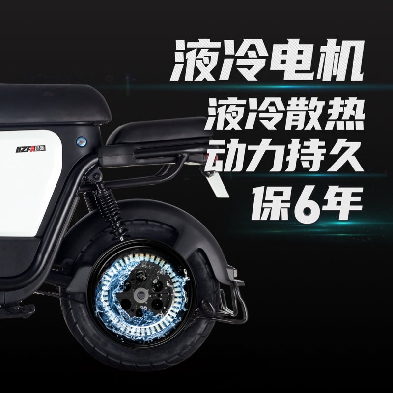 绿源电动车48v24a可提锂电池电动自行车ZFA男女长续航代步电瓶车 冰白