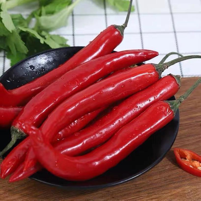 红线椒500g(精品)-05