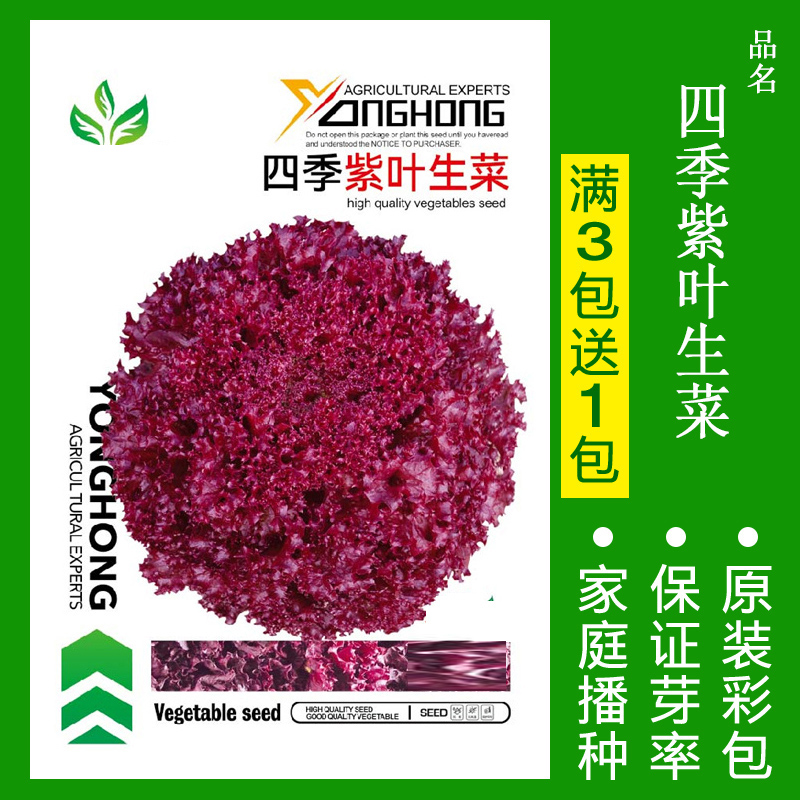 8424麒麟无籽美都西瓜种籽大全种子水果瓜小南方蔬菜苗秧种孑阳台 均码 四季紫叶生菜约190粒