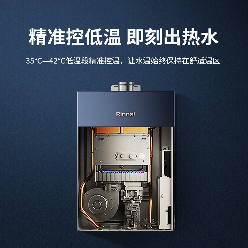 林内(Rinnai) 16升燃气热水器 JSQ31-D66W*家用天然气 语音智控 恒温防冻大水量