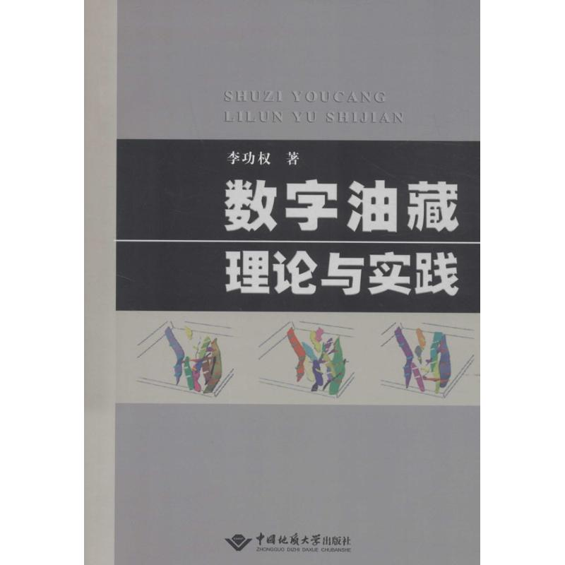 醉染图书数字油藏理论与实践9787562533979