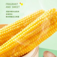 北大荒玉米东北糯玉米整箱发货2kg真空香糯早餐代餐香甜糯独立真空250g*8