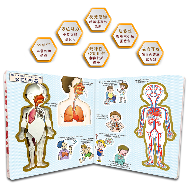 [醉染正版]正版发现看里面早教双语版探秘身体宇宙0-3-6-10岁2册幼儿宝宝撕不烂 绘本3D立体翻翻书益智游戏儿童科普高清大图