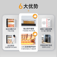 康宝(Canbo)/耐惠(NAAFI)消毒柜立式家用高温二星级 厨房碗筷餐具消毒碗柜XDZ70-MRP1