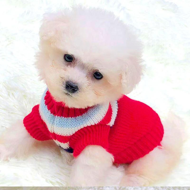 小体泰迪狗狗幼犬幼猫衣服春夏天小狗茶杯犬1斤小型