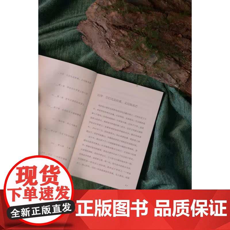 草原十年 安宁长篇散文集上海文艺出版社中国现当代文学呼伦贝尔草原随笔书小说正版图书籍高清大图