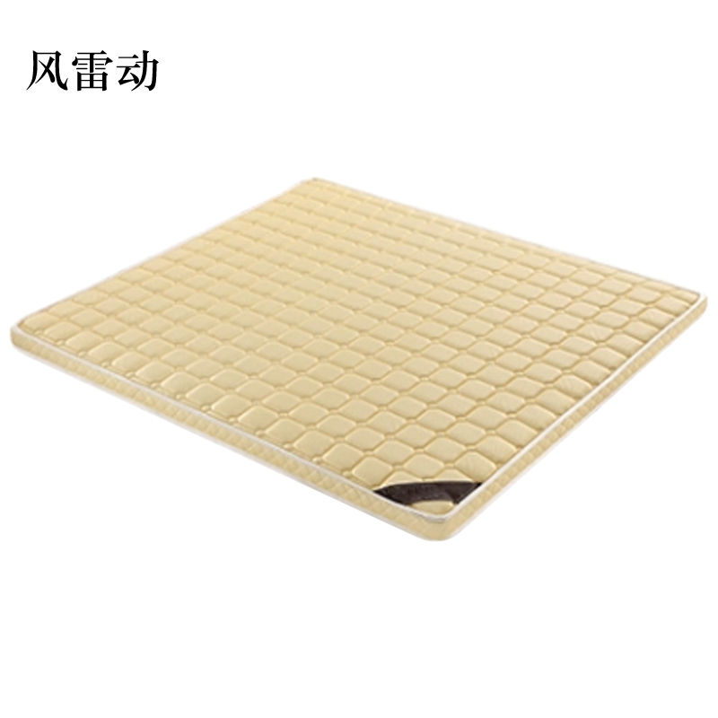 风雷动椰棕床垫家用棕垫D6cm高密度款(织锦面料+高密度0胶水天然椰棕)800mm*2000mm