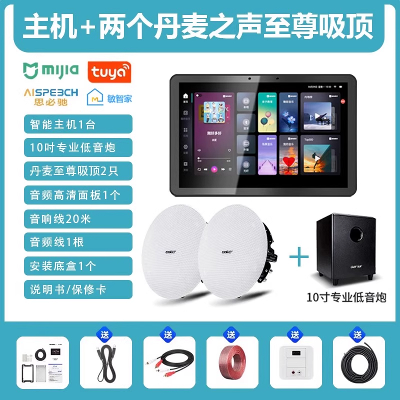 先科(SAST)智能AI家庭吸顶音响家用客厅无线蓝牙智能语音主机+2个8英寸HiFi至尊同轴吸顶音响+10吋专业低音炮