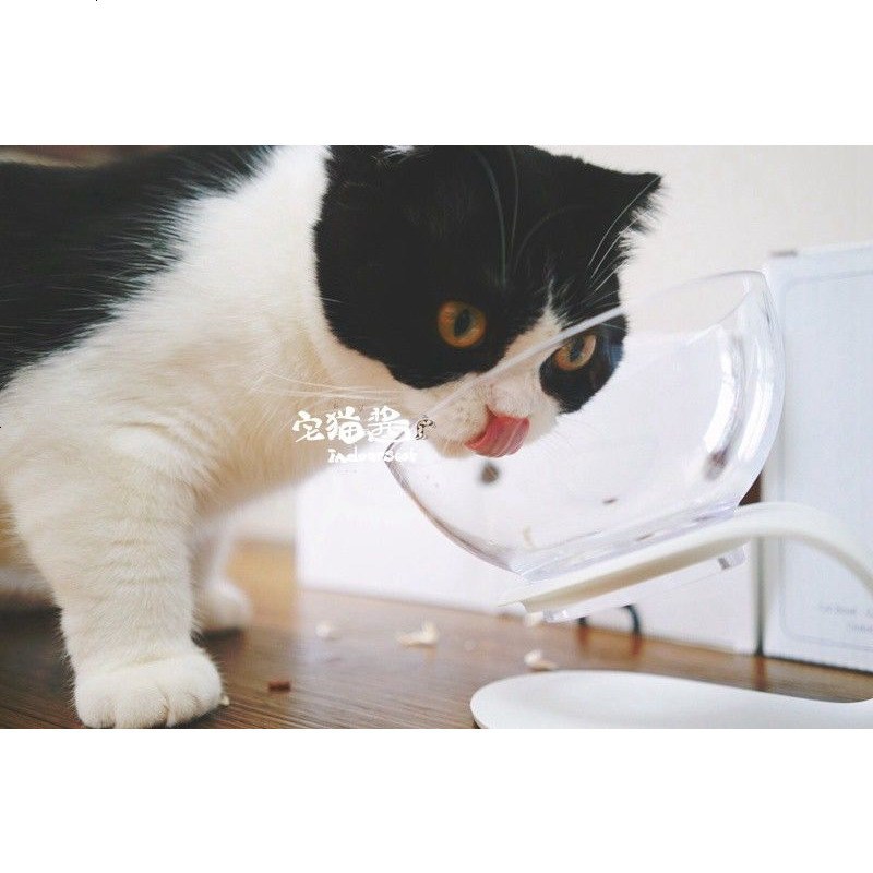 宅猫酱pidan 现代气息的猫食盆猫碗 优质材料 猫体工程学