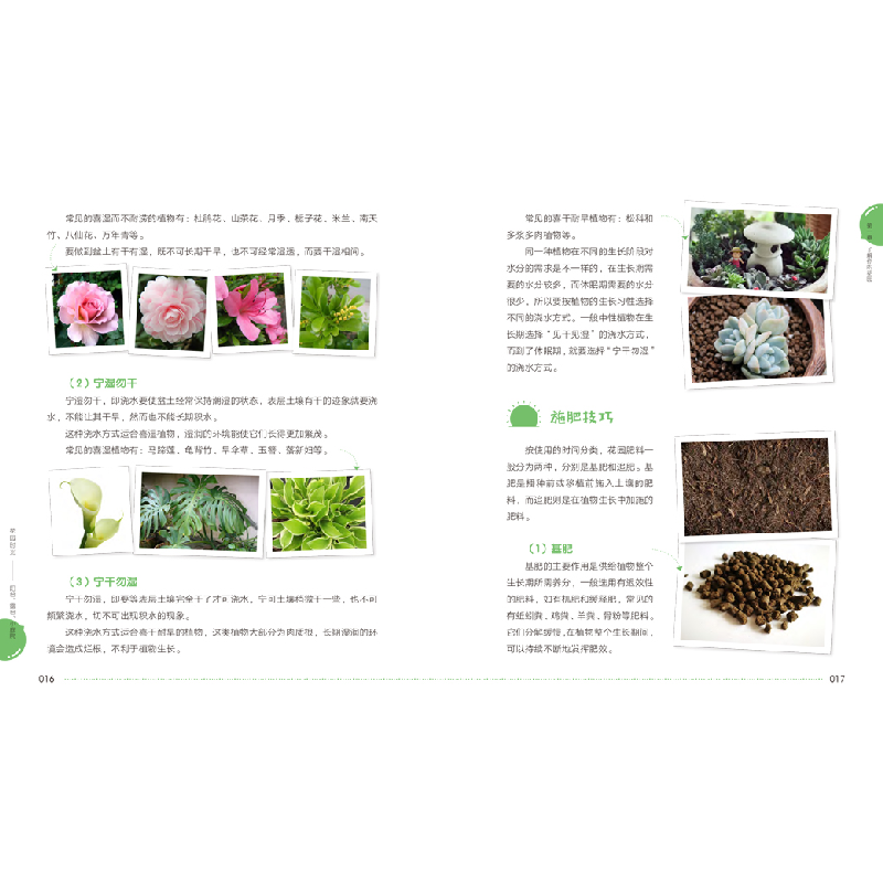 正版新书]花园时光:阳台、露台、小庭院凤凰空间·华南编辑部 编高清大图