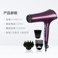 飞科电吹风机女家用理发店负离子不伤发大功率发廊吹风筒 抖音同款