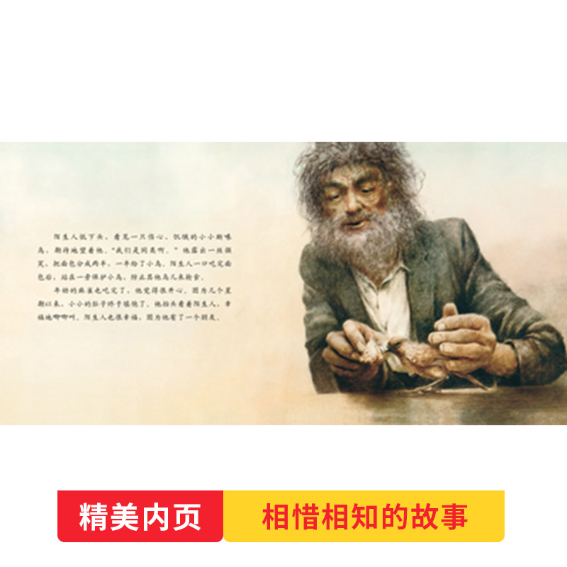 单本全册 [正版]断喙鸟硬壳精装图画书启发关于生命主题绘本4岁以上亲子阅读童书高清大图