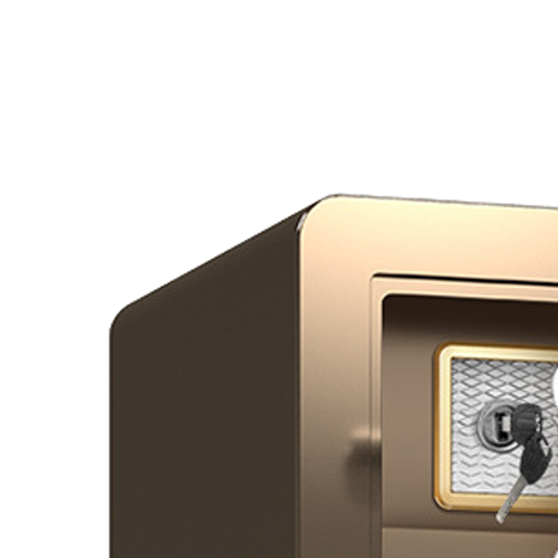 臻远 ZY40618098 小型保险柜密码保险箱全钢防盗保管箱 45cm咖色指纹密码款高清大图
