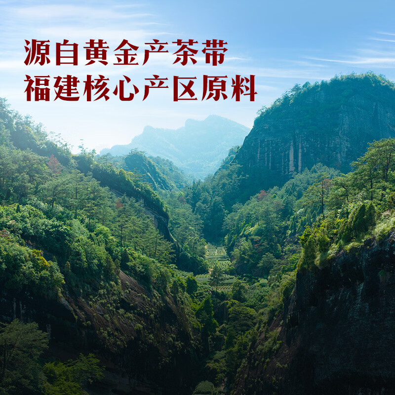八马茶业·茶韵飘香E款︱升级版(大红袍铁观音组合装)高清大图