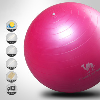 骆驼瑜伽球加厚防爆初学者健身球儿童球弹力运动瑜珈球