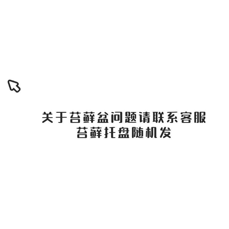 苔藓球 水培微景观绿植盆栽 水苔球镜面草赤楠六月雪桌面摆件 苔球盆问题请联系客服(托盘随机) 带盆(托盘随机或咨询客服)