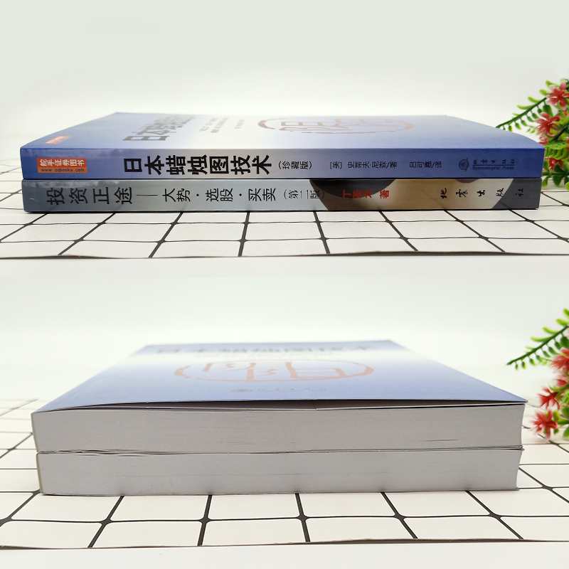 [友一个正版]网投资正途+日本蜡烛图技术 珍藏版 丁圣元股票入门基础知识从零开始学炒股书籍股市实战教程技术分析股票k线