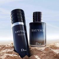 迪奥（Dior）旷野男士浓香水2018新品 60ml 男士香水 法国正品直邮