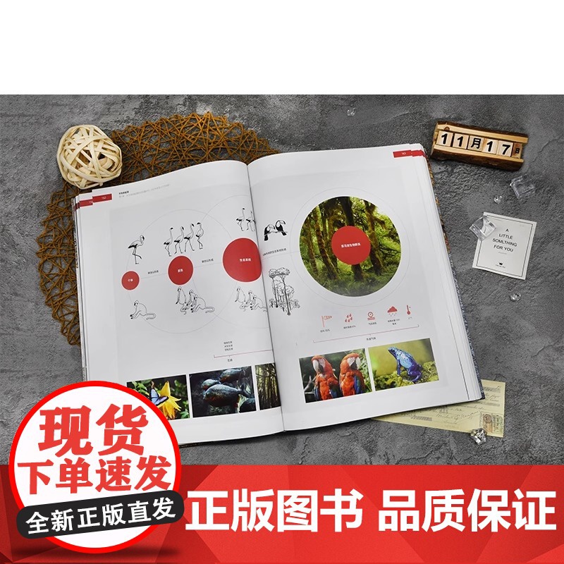 [央视网]烹饪的起源饮食文化历史的宝藏书旧石器时代和新石器时代饮食历史百科知识书斗牛犬餐厅补充美食爱好者菜谱餐饮业人士Y高清大图