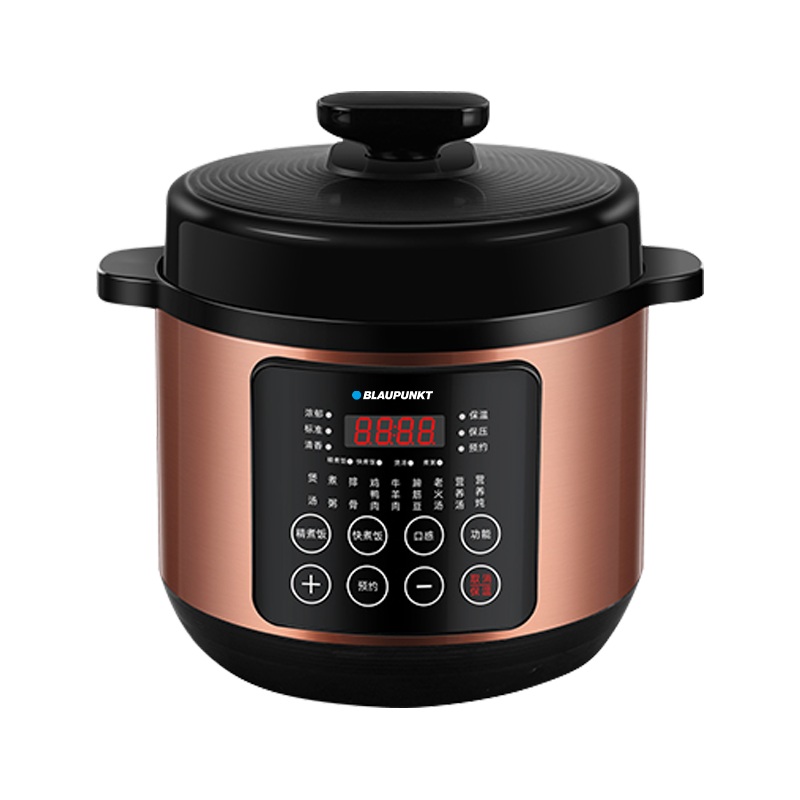 德国蓝宝电压力锅5L双胆LB-21D100A11高清大图