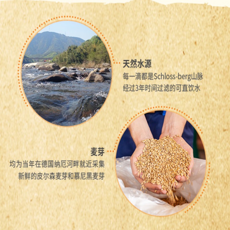 瓦伦丁黑啤(500ml x 12 听装礼盒)高清大图