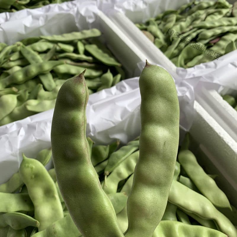 湛航东北油豆角小黄瓜旱黄瓜新鲜豆角孕妇蔬菜农家小黄瓜油豆角