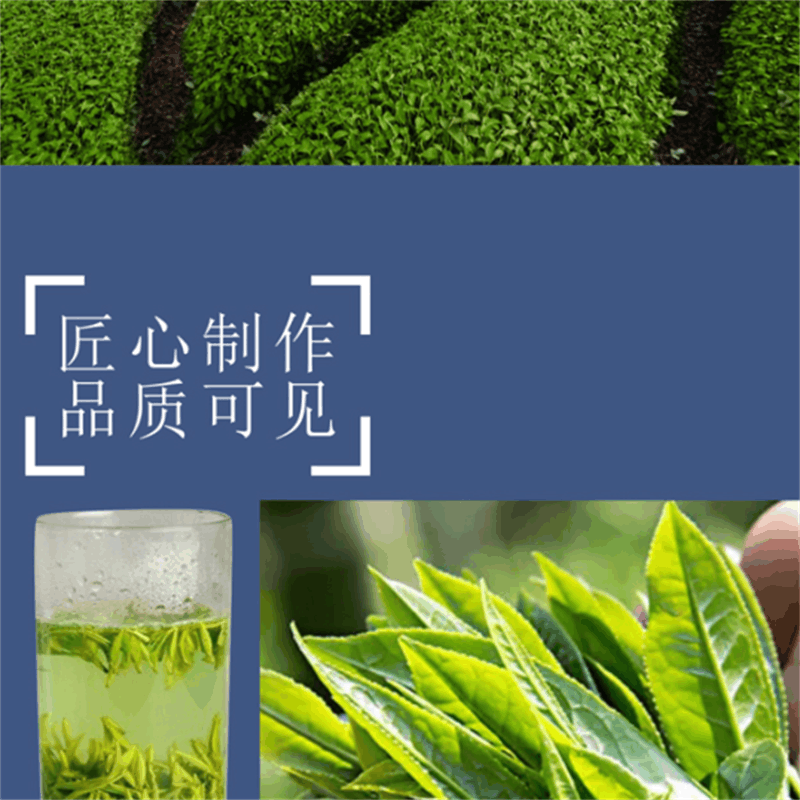 霞光牌 茉莉毛尖250克/罐图片