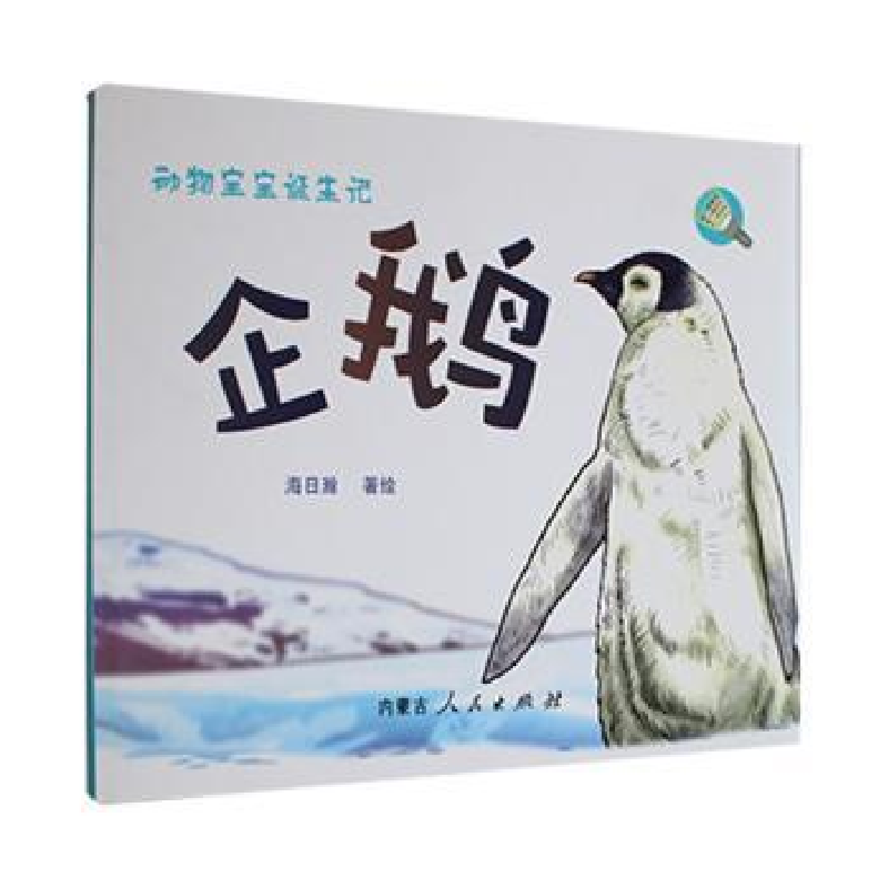 诺森动物宝宝诞生记:企鹅海日瀚9787204169412内蒙古人民出版社高清大图