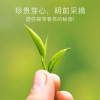 [2022新茶上市]润思绿茶 特级明前高山黄山毛峰 100g揉捻工艺